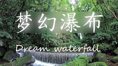 聚焦2024年海南省两会丨琼海出席省第七届人大三次会议代表向大会报到 怀揣民意献良策 奏响履职为民时代强音