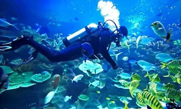 萌新水果连连看
